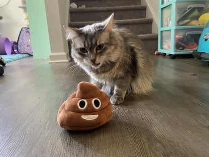 🎁Lowest price ever💥Funny  Poop Plush Toy – Makes Fart Sounds!