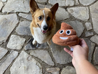 🎁Lowest price ever💥Funny  Poop Plush Toy – Makes Fart Sounds!